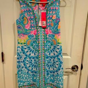 Beautiful Lilly Pulitzer dress